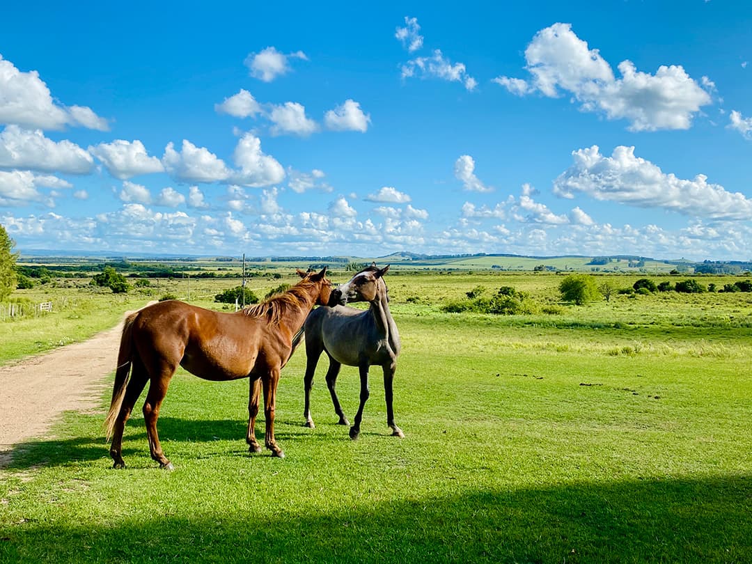 Clean air, healthy environment